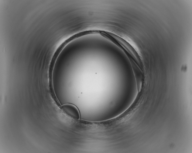 X0000090770980200707201435