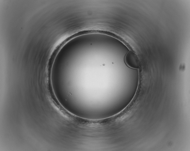 X0000090770982200707201435