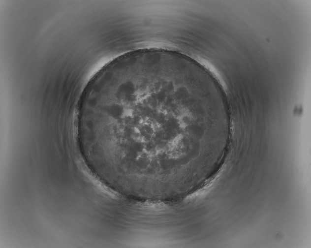 X0000090770983200707201435