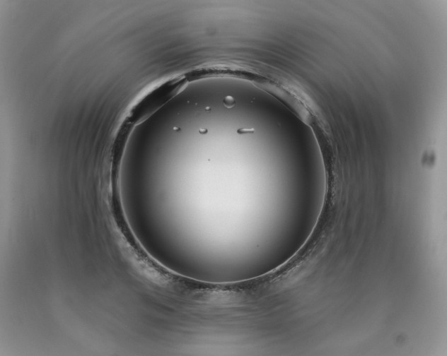 X0000090770984200707201435