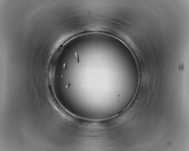 X0000090770986200707201435