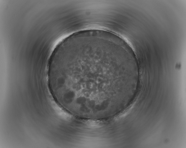X0000090770987200707201435