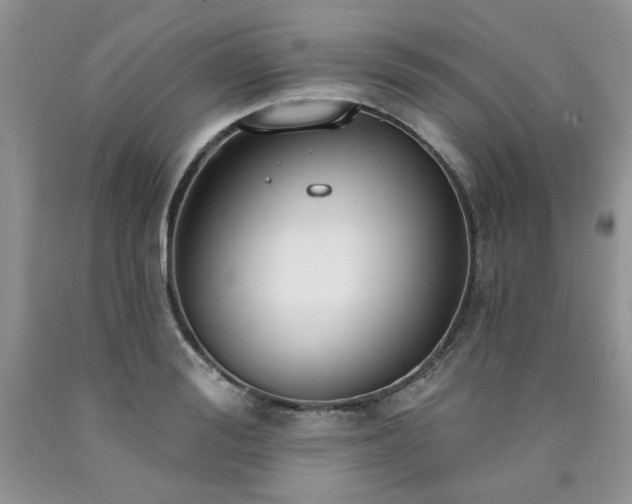 X0000090770988200707201435