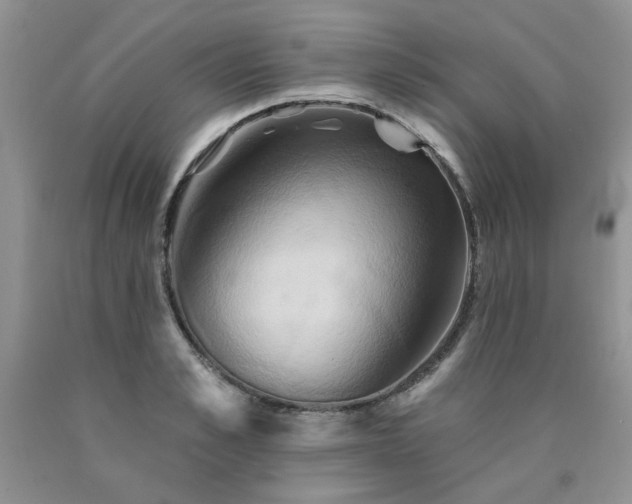X0000090770989200707201435