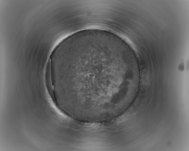 X0000090770991200707201435