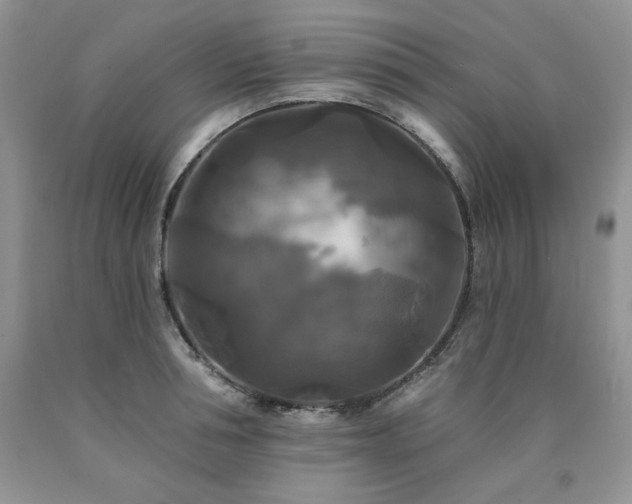 X0000090770994200707201435