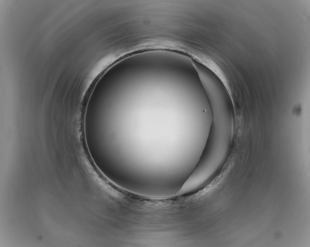X0000090770997200707201435