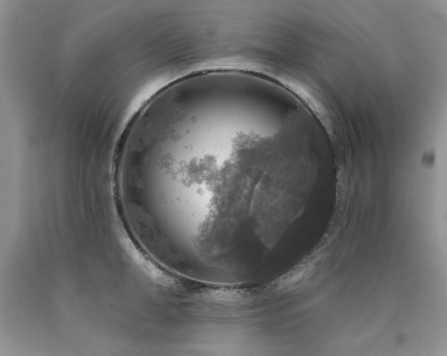 X0000090770998200707201435