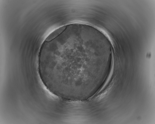 X0000090770999200707201435