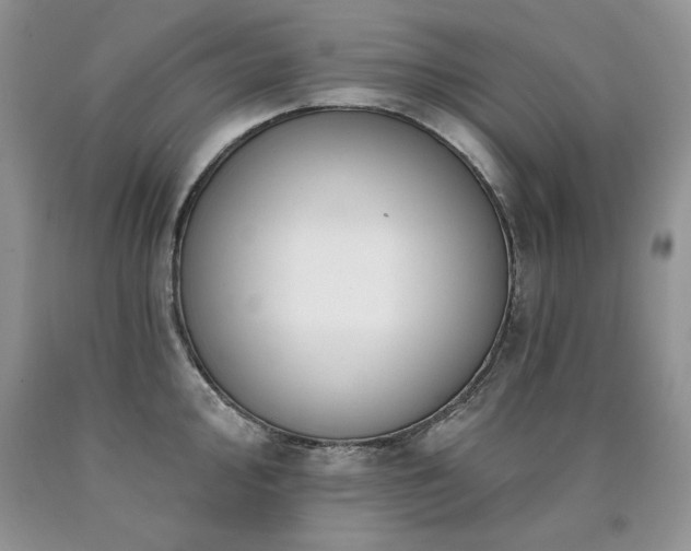 X0000090771000200707201435