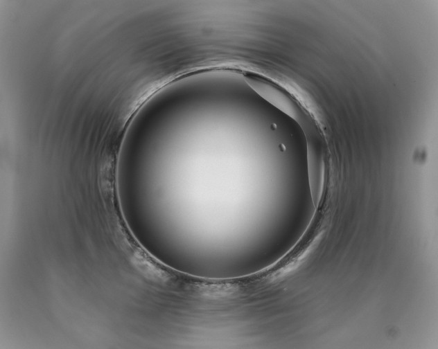 X0000090771001200707201435