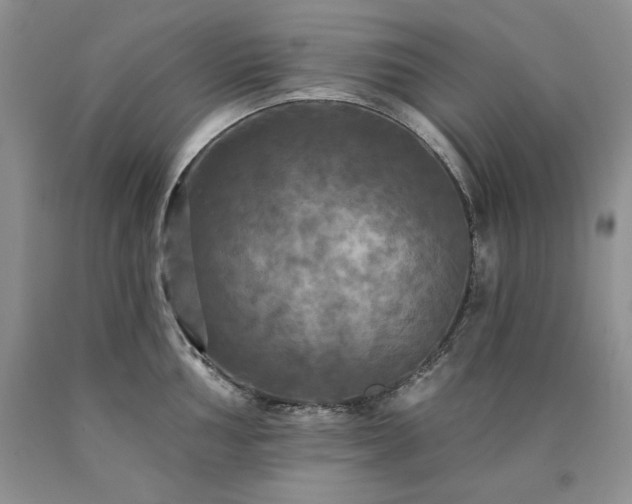 X0000090771002200707201435