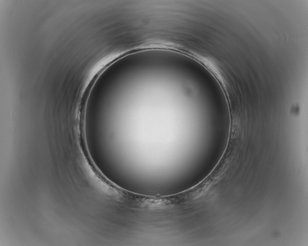 X0000090771003200707201435