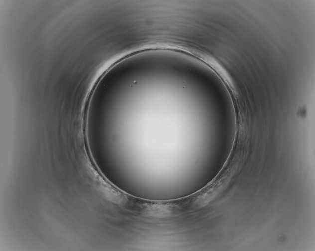 X0000090771004200707201435