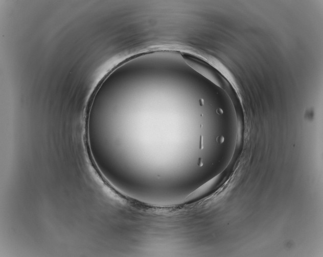 X0000090771005200707201435