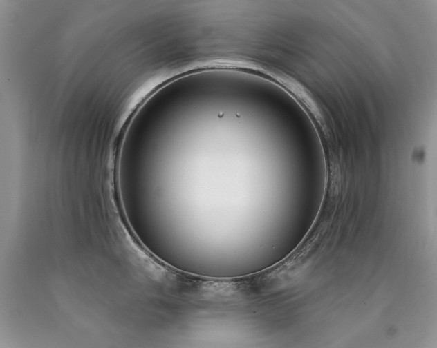 X0000090771006200707201435