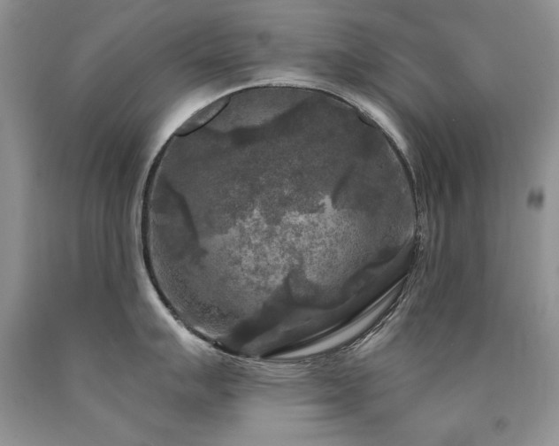 X0000090771007200707201434