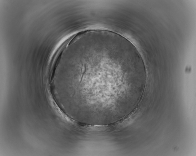 X0000090771008200707201434