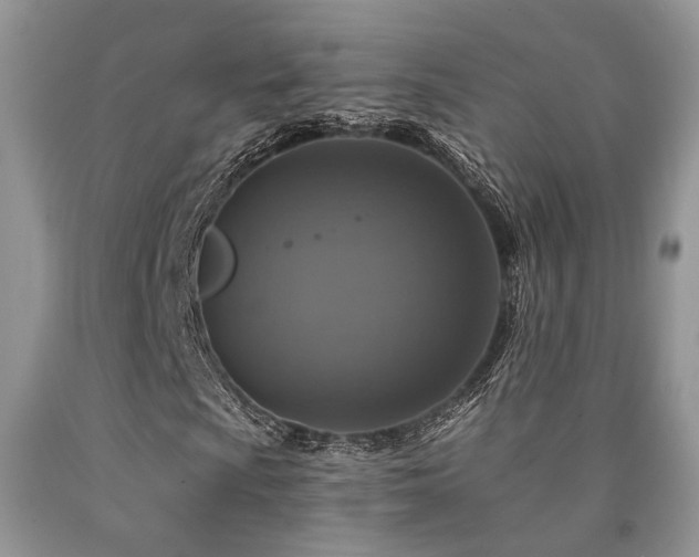 X0000090771009200707201434