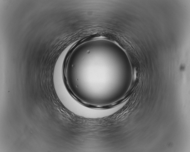 X0000090771010200707201434