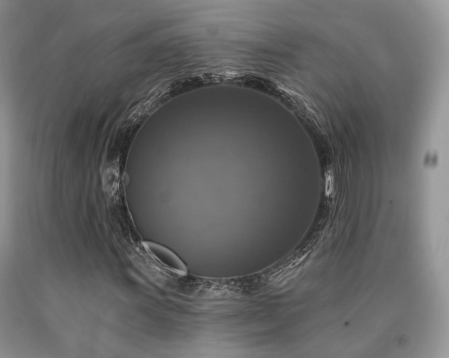 X0000090771011200707201434