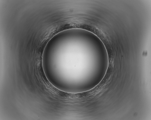 X0000090771012200707201434