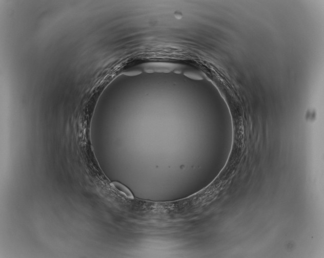 X0000090771013200707201434
