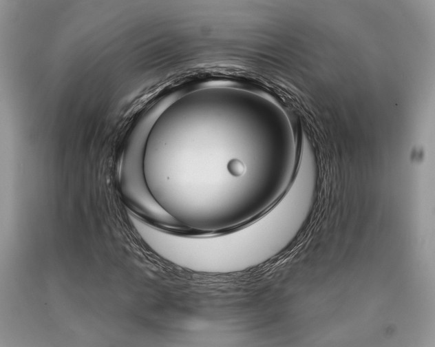X0000090771014200707201434
