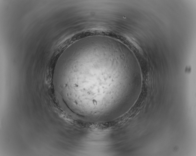 X0000090771015200707201434