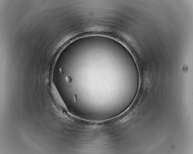 X0000090771017200707201434