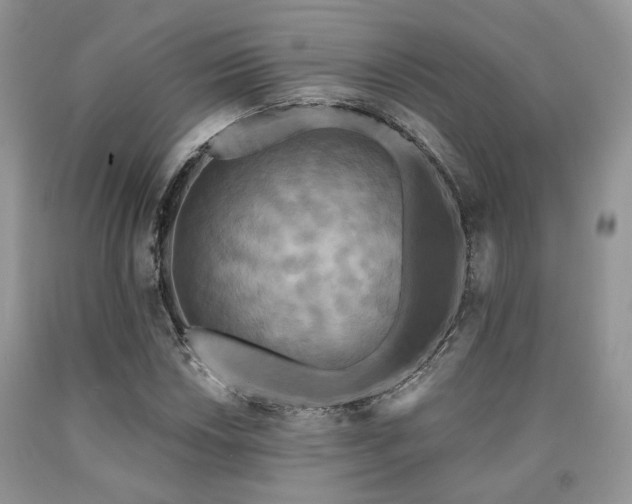 X0000090771018200707201434