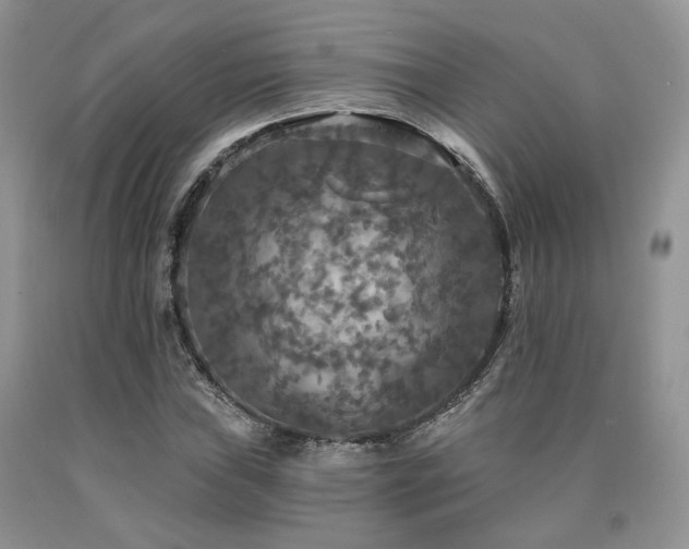 X0000090771019200707201434