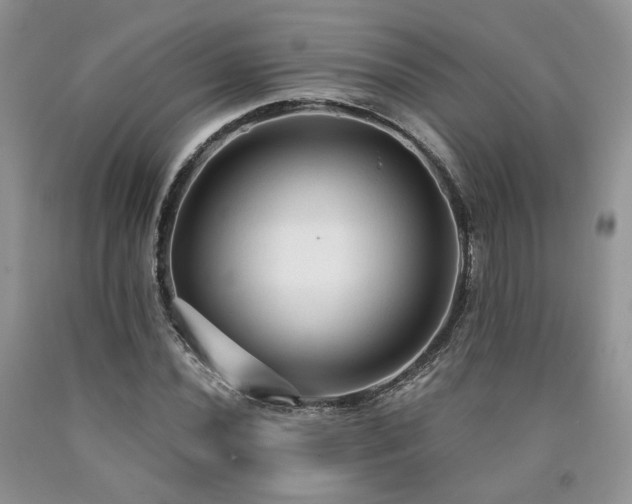 X0000090771020200707201434