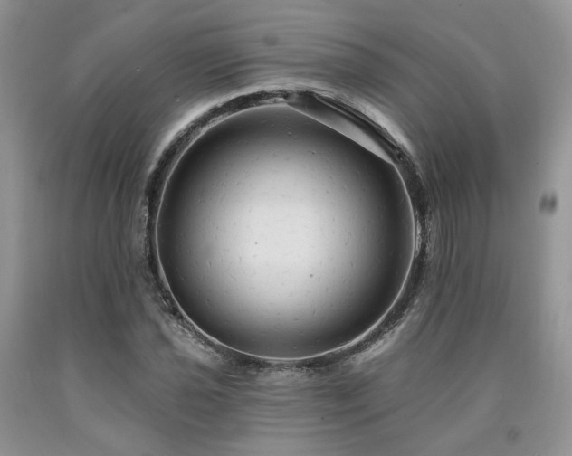 X0000090771021200707201434