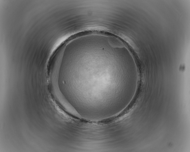 X0000090771022200707201434