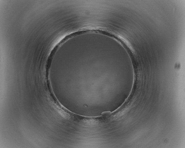 X0000090771023200707201434