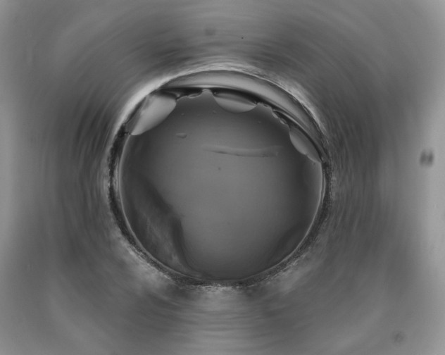 X0000090771024200707201434