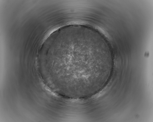 X0000090771025200707201434