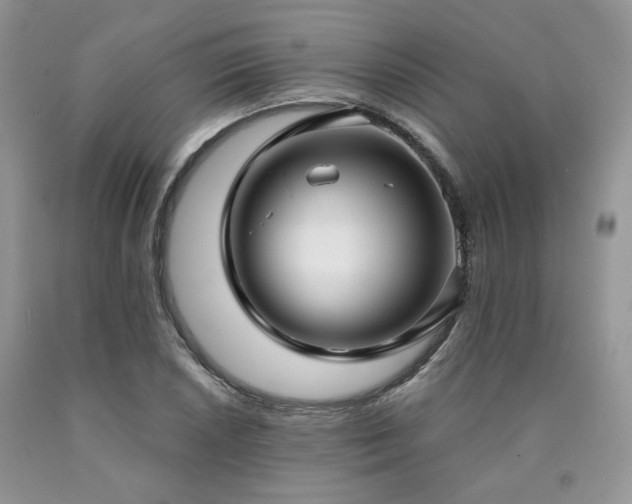 X0000090771026200707201434