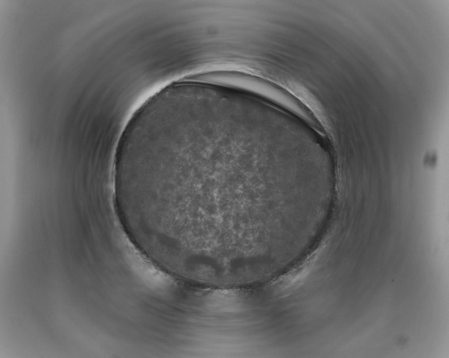 X0000090771028200707201434