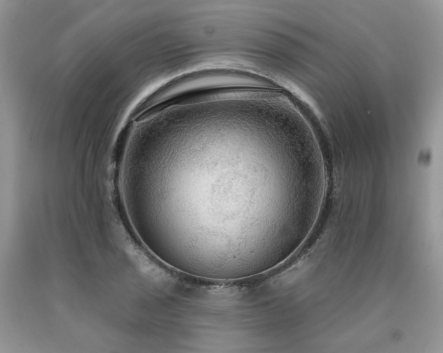 X0000090771029200707201434