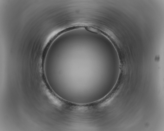 X0000090771030200707201434