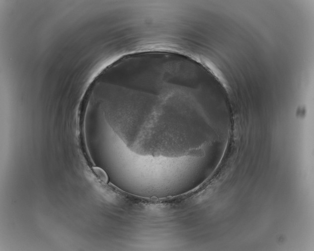 X0000090771031200707201434