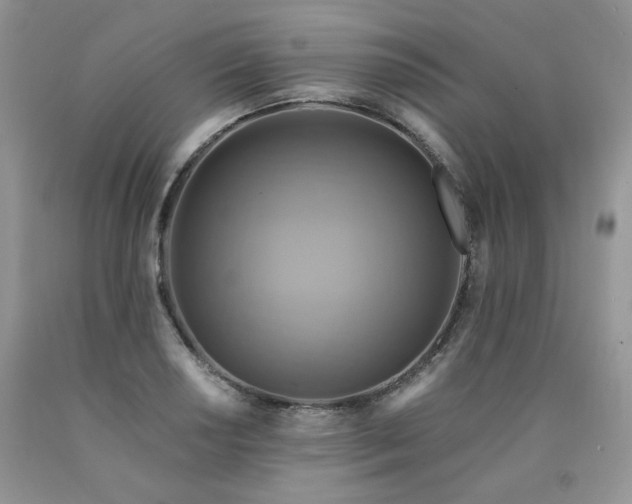 X0000090771034200707201434
