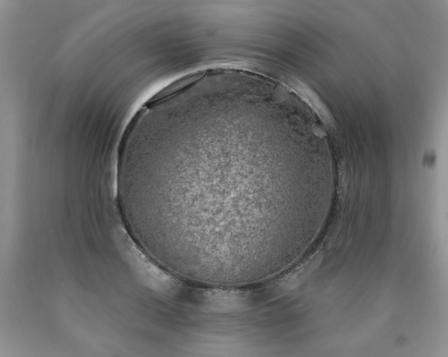 X0000090771036200707201434