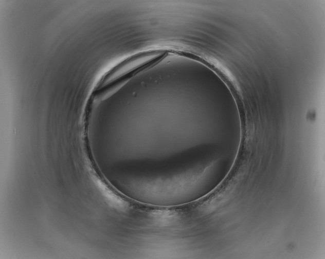 X0000090771037200707201434