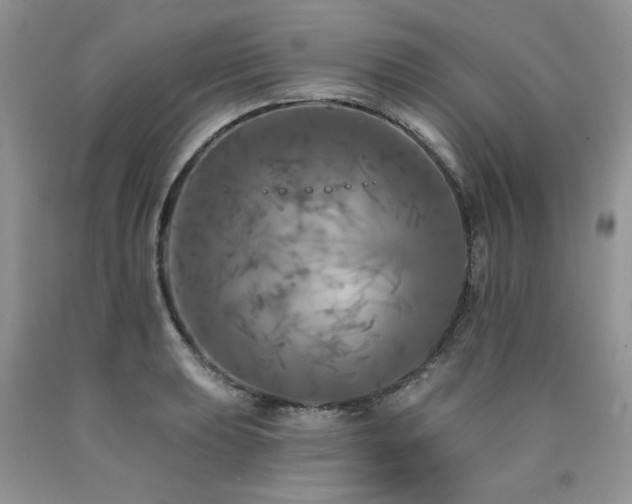 X0000090771039200707201434