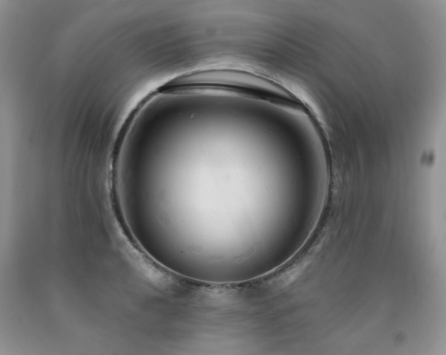 X0000090771040200707201434