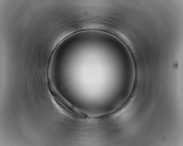 X0000090771041200707201434