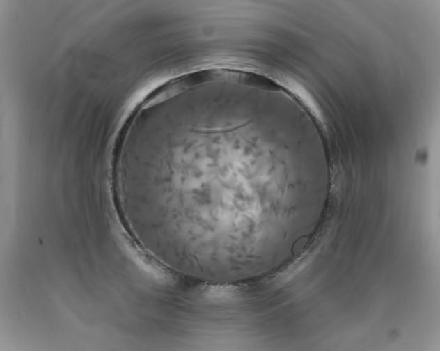 X0000090771043200707201434